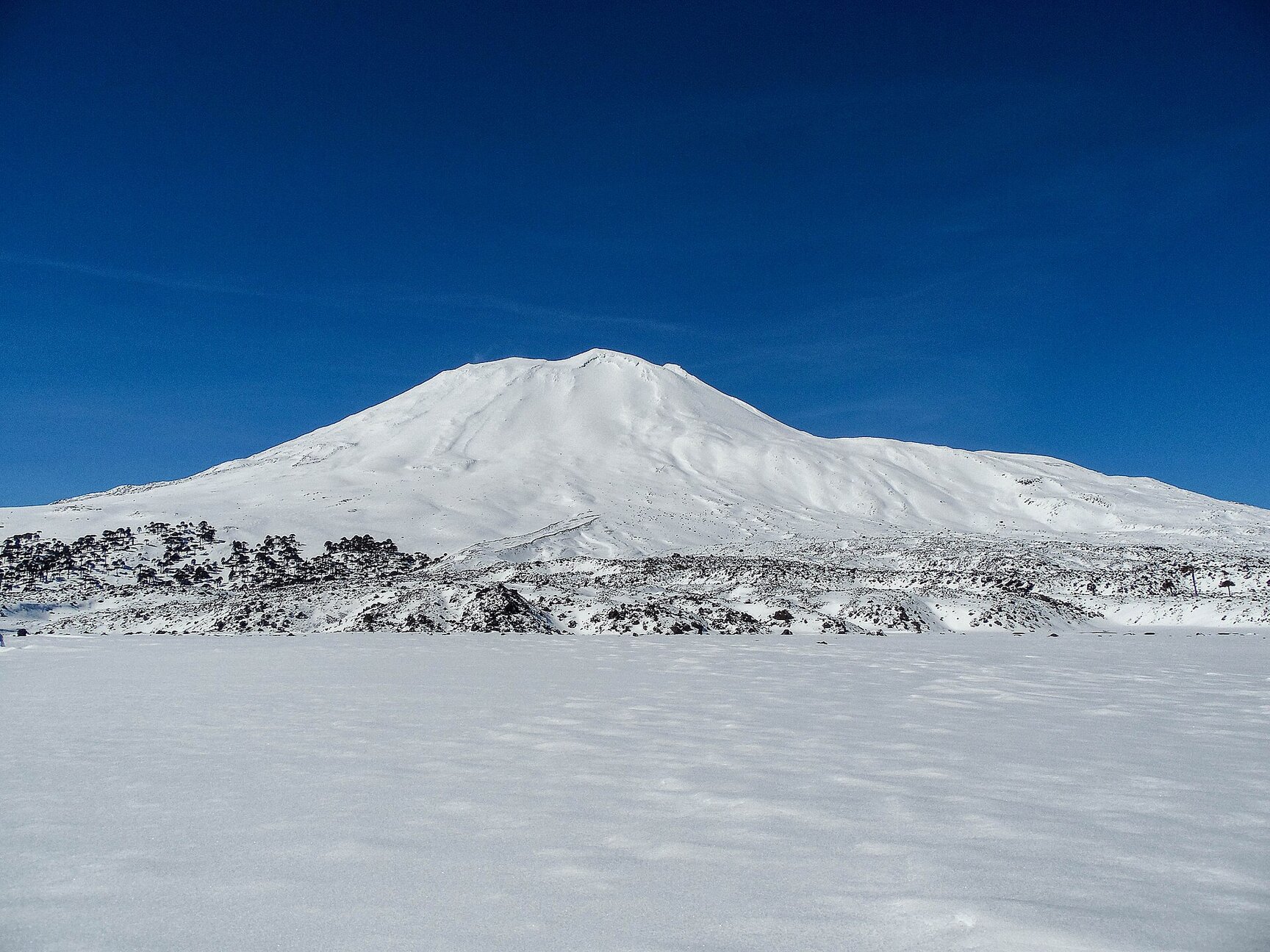 Heli-ski profundo Lonquimay