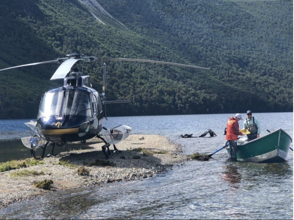 Pesca con mosca en Aysén