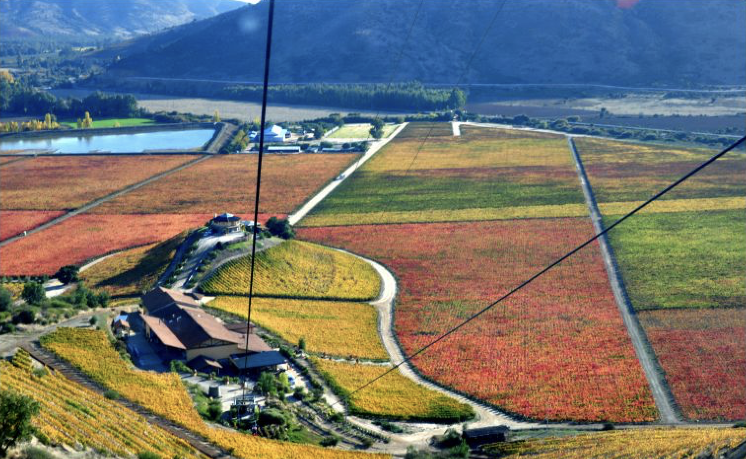 Fiestas Patrias — Colchagua