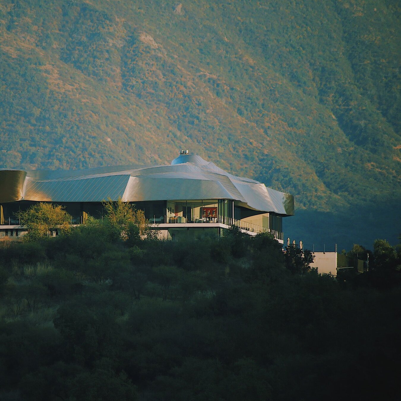 Almaviva · Clos Apalta · Vik